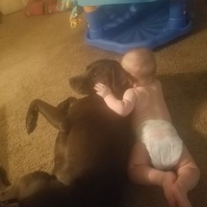 Meet your Posher, David